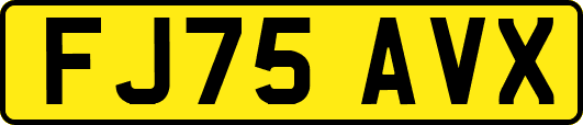 FJ75AVX