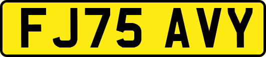 FJ75AVY