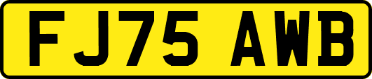 FJ75AWB