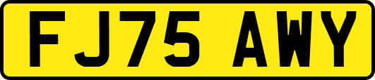 FJ75AWY