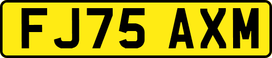 FJ75AXM