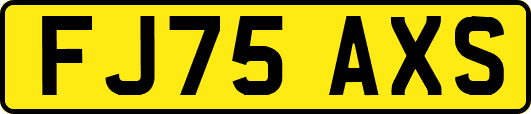 FJ75AXS
