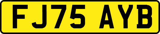 FJ75AYB