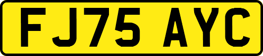 FJ75AYC