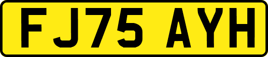 FJ75AYH