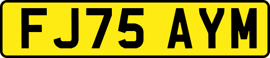 FJ75AYM
