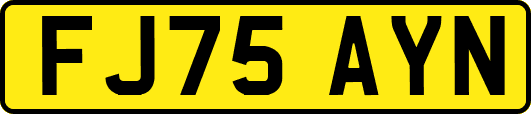 FJ75AYN