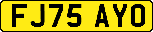FJ75AYO