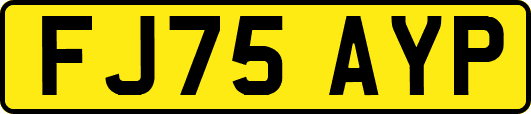 FJ75AYP