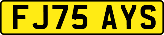 FJ75AYS