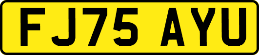 FJ75AYU