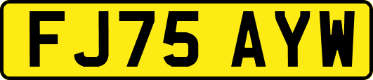 FJ75AYW