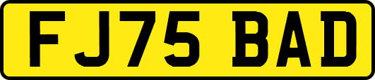 FJ75BAD