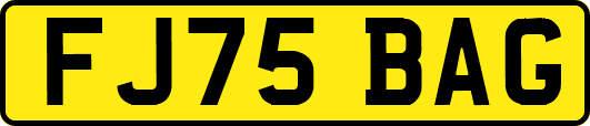 FJ75BAG