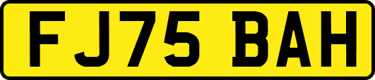 FJ75BAH