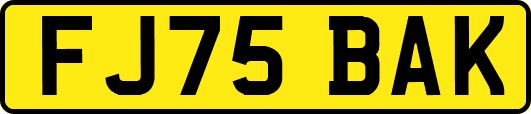 FJ75BAK
