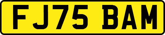 FJ75BAM