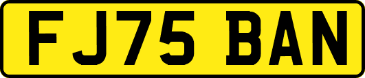 FJ75BAN