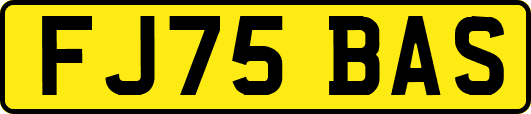 FJ75BAS
