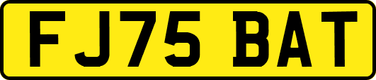 FJ75BAT
