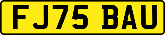 FJ75BAU