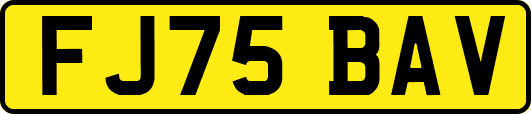 FJ75BAV