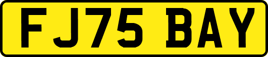FJ75BAY
