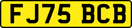 FJ75BCB