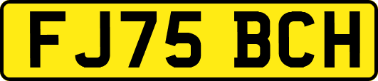 FJ75BCH