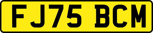 FJ75BCM