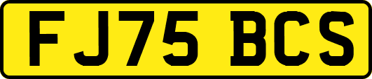 FJ75BCS