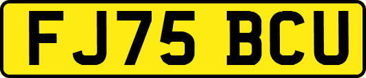 FJ75BCU