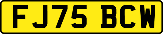 FJ75BCW