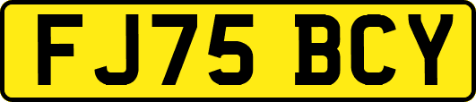 FJ75BCY