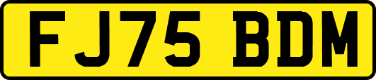 FJ75BDM
