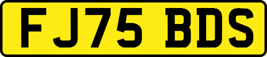 FJ75BDS