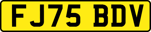 FJ75BDV