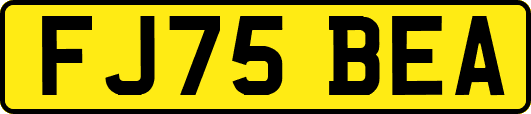 FJ75BEA
