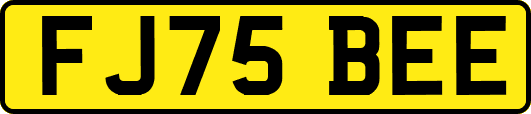 FJ75BEE