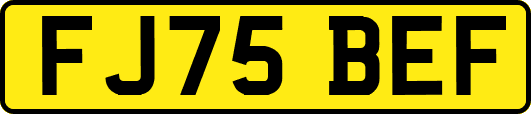 FJ75BEF