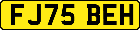 FJ75BEH