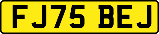 FJ75BEJ
