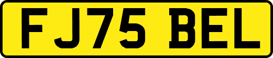 FJ75BEL