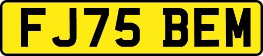 FJ75BEM