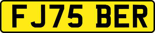 FJ75BER