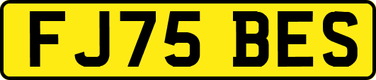 FJ75BES