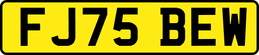 FJ75BEW