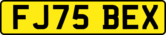 FJ75BEX