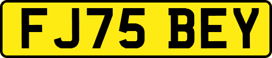 FJ75BEY