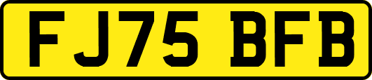 FJ75BFB